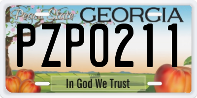 GA license plate PZP0211