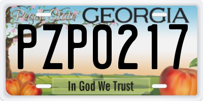 GA license plate PZP0217