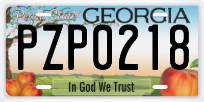GA license plate PZP0218