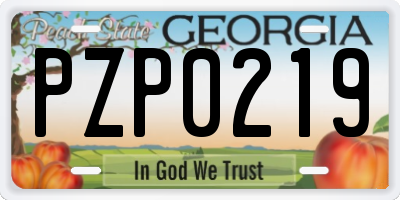 GA license plate PZP0219