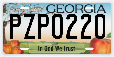 GA license plate PZP0220