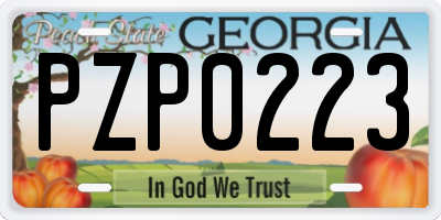 GA license plate PZP0223