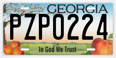 GA license plate PZP0224