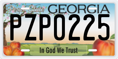 GA license plate PZP0225