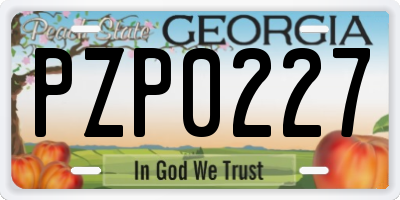 GA license plate PZP0227