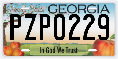 GA license plate PZP0229