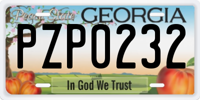 GA license plate PZP0232