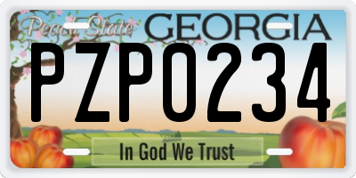 GA license plate PZP0234