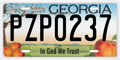 GA license plate PZP0237