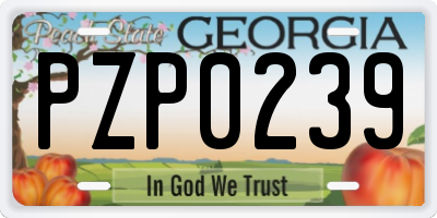 GA license plate PZP0239
