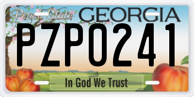 GA license plate PZP0241