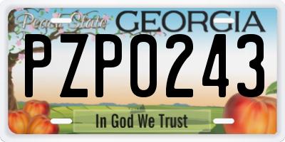 GA license plate PZP0243