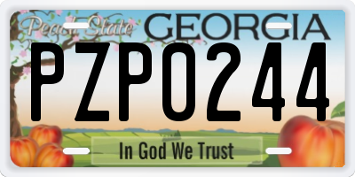 GA license plate PZP0244