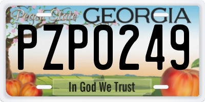 GA license plate PZP0249