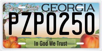 GA license plate PZP0250