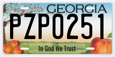 GA license plate PZP0251