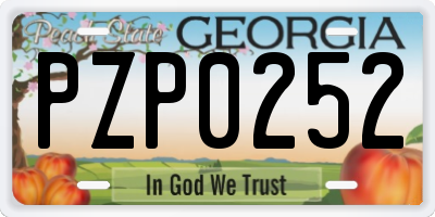 GA license plate PZP0252