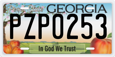 GA license plate PZP0253