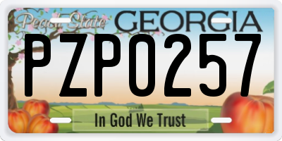 GA license plate PZP0257