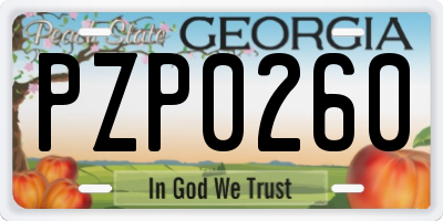GA license plate PZP0260