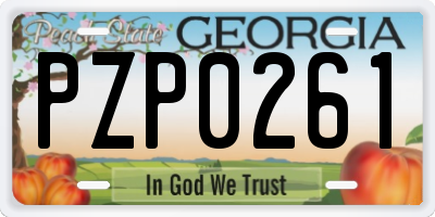GA license plate PZP0261