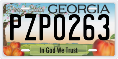 GA license plate PZP0263