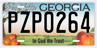 GA license plate PZP0264