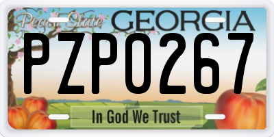 GA license plate PZP0267