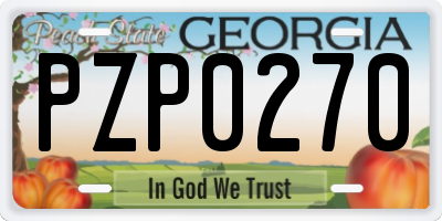 GA license plate PZP0270
