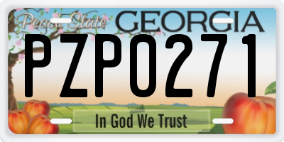 GA license plate PZP0271