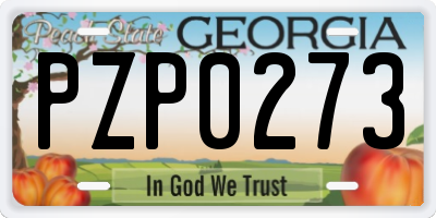 GA license plate PZP0273