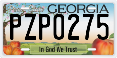 GA license plate PZP0275