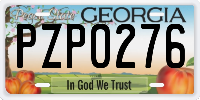 GA license plate PZP0276