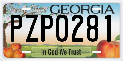 GA license plate PZP0281