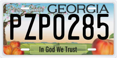 GA license plate PZP0285