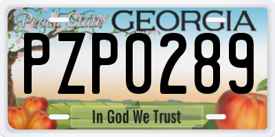 GA license plate PZP0289