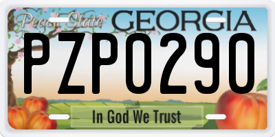 GA license plate PZP0290