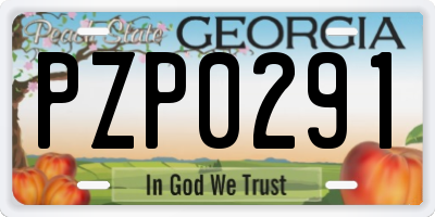 GA license plate PZP0291