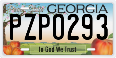GA license plate PZP0293
