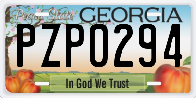 GA license plate PZP0294