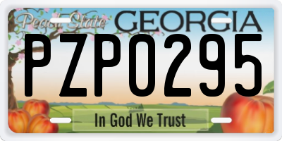 GA license plate PZP0295