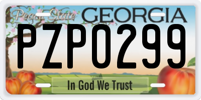 GA license plate PZP0299
