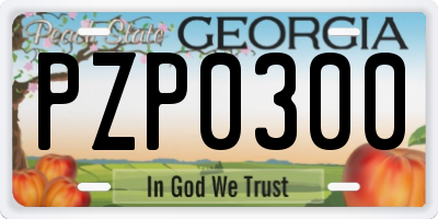 GA license plate PZP0300