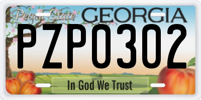 GA license plate PZP0302