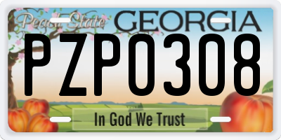 GA license plate PZP0308