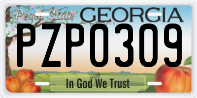GA license plate PZP0309