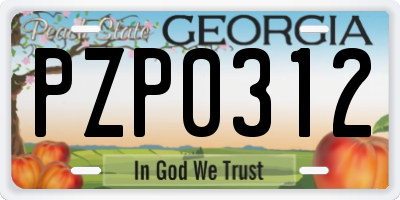 GA license plate PZP0312