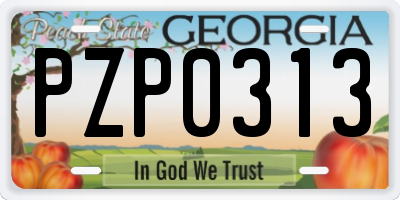 GA license plate PZP0313