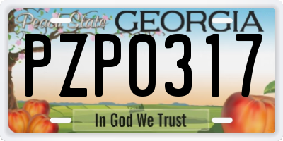 GA license plate PZP0317