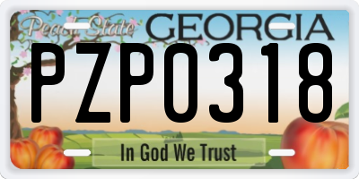 GA license plate PZP0318